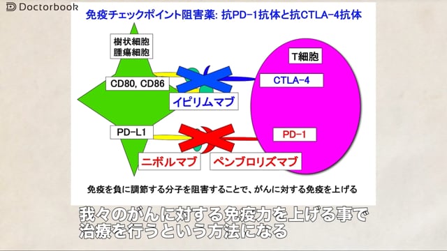 悪性黒色腫：治療、免疫チェックポイント阻害薬を中心に