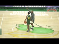 Preview Video #2