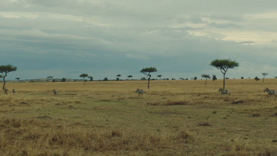 Preview image for video N.PEAL_kenya_PREVIEW_NEW