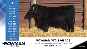 Lot #1 - BOWMAN STELLAR 302