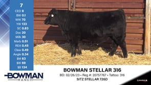Lot #7 - BOWMAN STELLAR 316