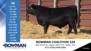 Lot #18 - BOWMAN COALITION 334