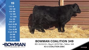 Lot #19 - BOWMAN COALITION 349