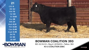 Lot #21 - BOWMAN COALITION 393