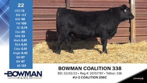 Lot #22 - BOWMAN COALITION 338