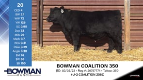 Lot #20 - BOWMAN COALITION 350