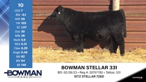 Lot #10 - BOWMAN STELLAR 331