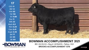 Lot #17 - BOWMAN ACCOMPLISHMENT 3121