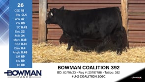 Lot #26 - BOWMAN COALITION 392