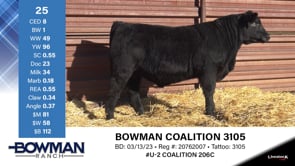 Lot #25 - BOWMAN COALITION 3105