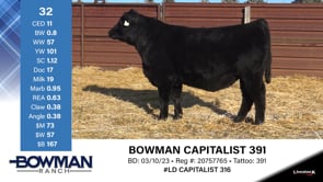 Lot #32 - BOWMAN CAPITALIST 391