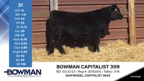 Lot #31 - BOWMAN CAPITALIST 3119