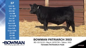 Lot #37 - BOWMAN PATRIARCH 3103