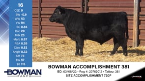 Lot #16 - BOWMAN ACCOMPLISHMENT 381