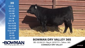 Lot #39 - BOWMAN DRY VALLEY 365
