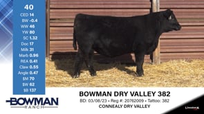 Lot #40 - BOWMAN DRY VALLEY 382
