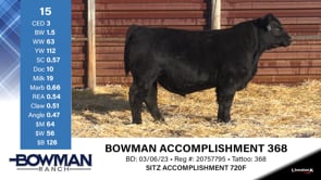 Lot #15 - BOWMAN ACCOMPLISHMENT 368