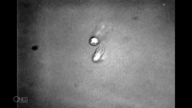 CNN Ones to Watch — Jonty Hurwitz nano sculpture, filmed at the Karlsruhe Institute of Technology.