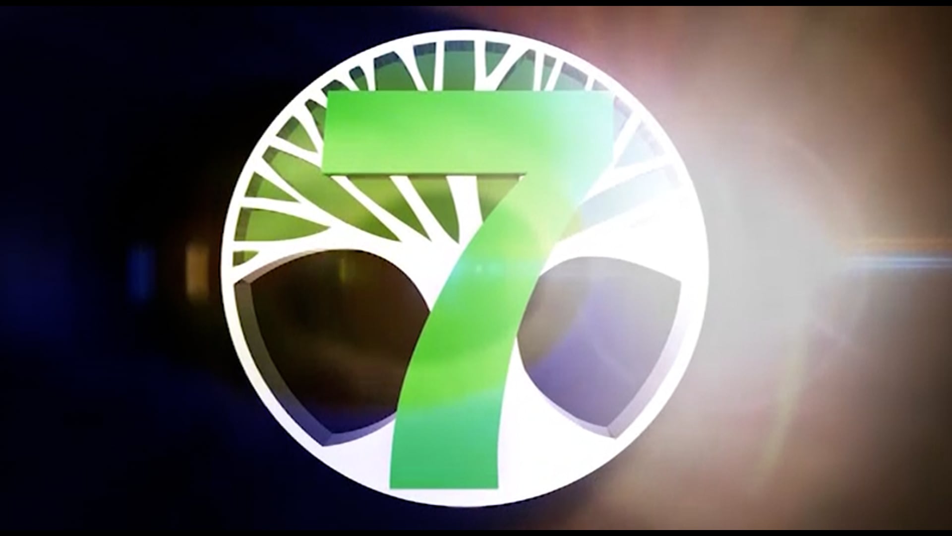 C7O-189 - The 2015 Diwali Mela Celebration - Part 2