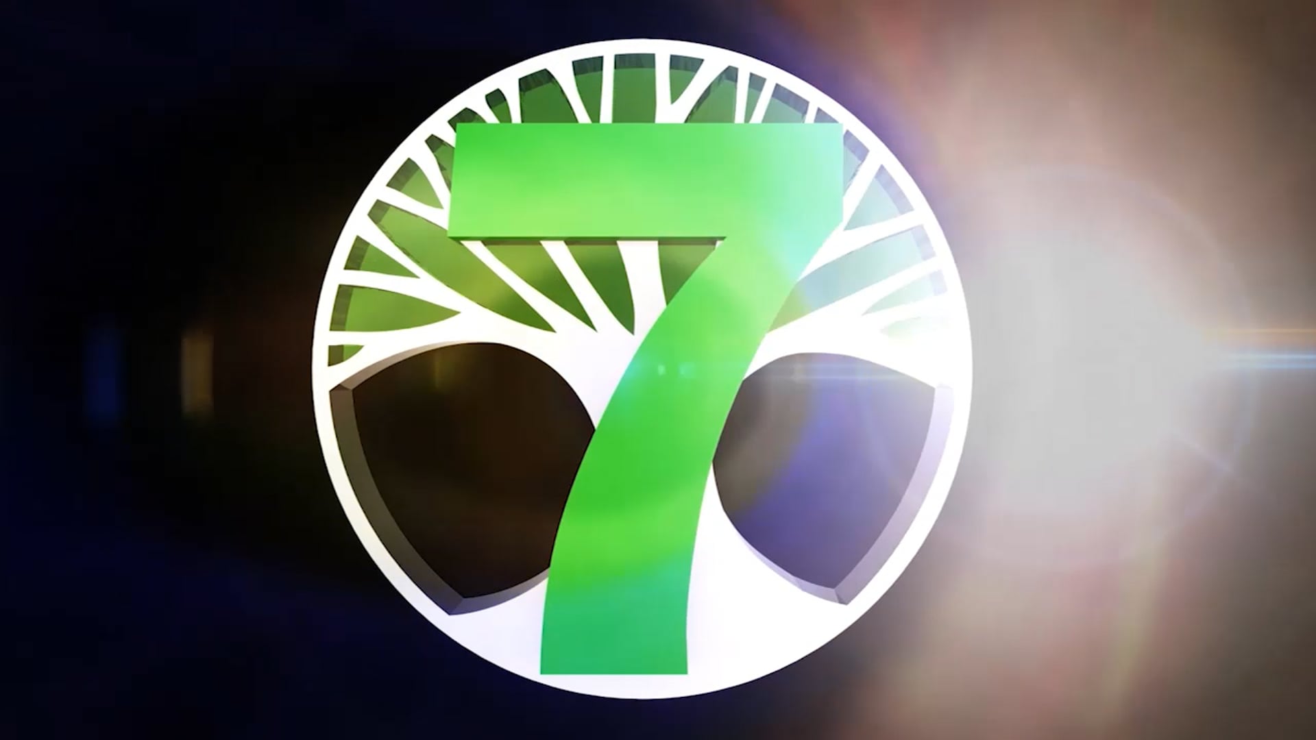 C7O-221 - The 2016 Diwali Celebration - Part 1