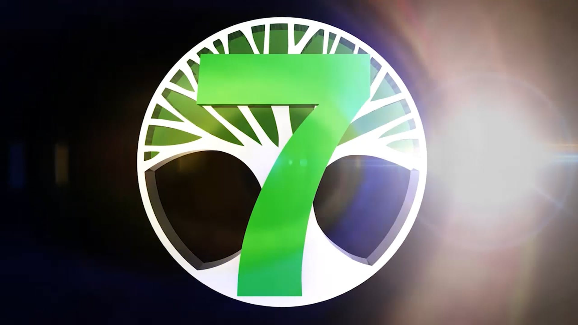 C7O-222 - The 2016 Diwali Mela Celebration - Part 2