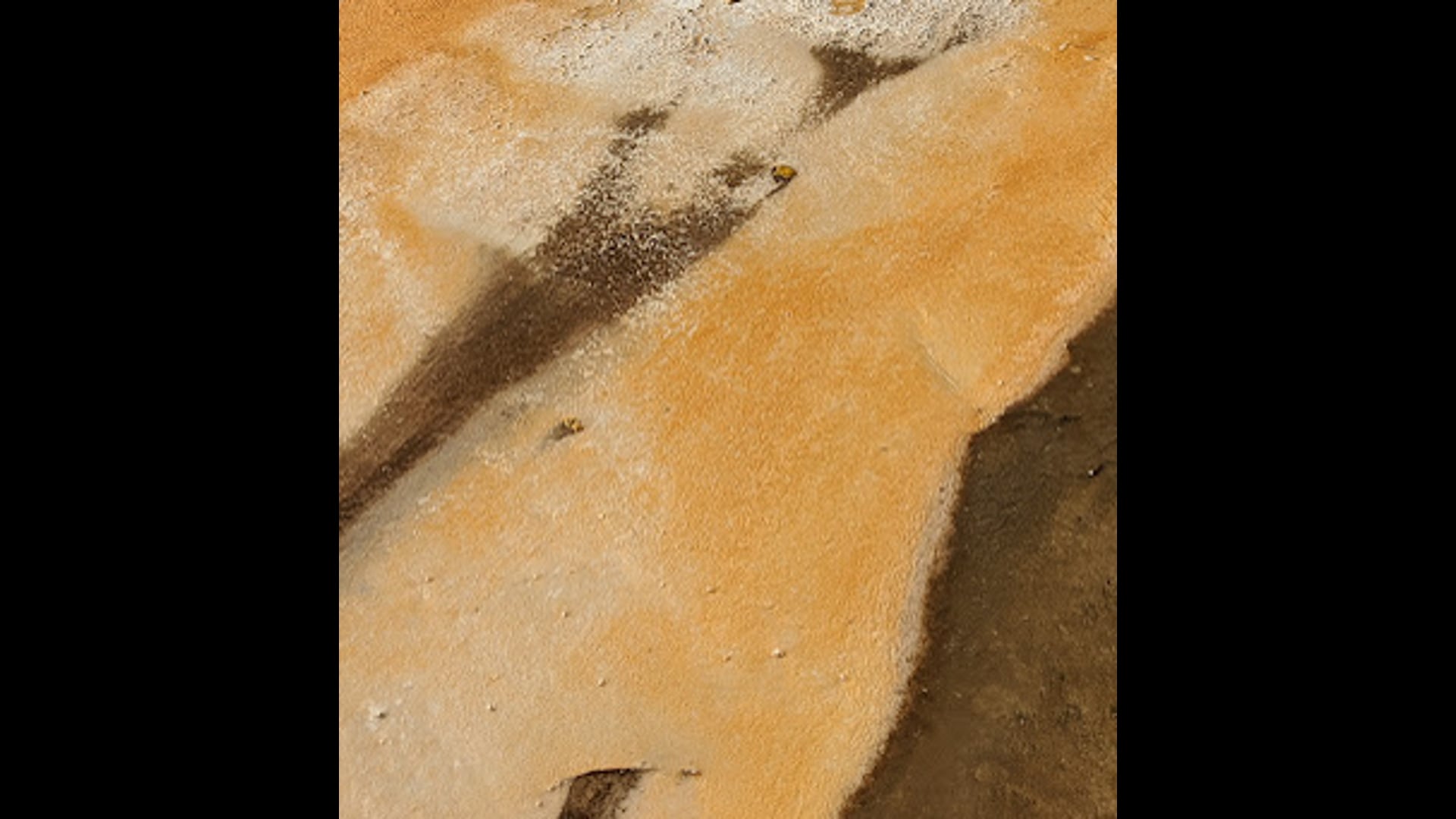 2023 October 23: Equanimity: and the 5th of 5 Remembrances