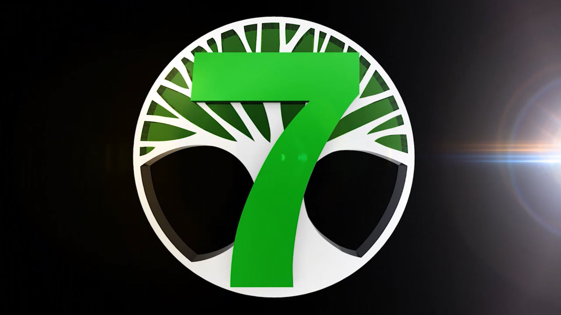 C7O-255 - 2017 Diwali Mela Celebration - Part 1