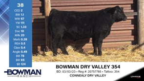 Lot #38 - BOWMAN DRY VALLEY 354
