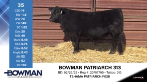 Lot #35 - BOWMAN PATRIARCH 313