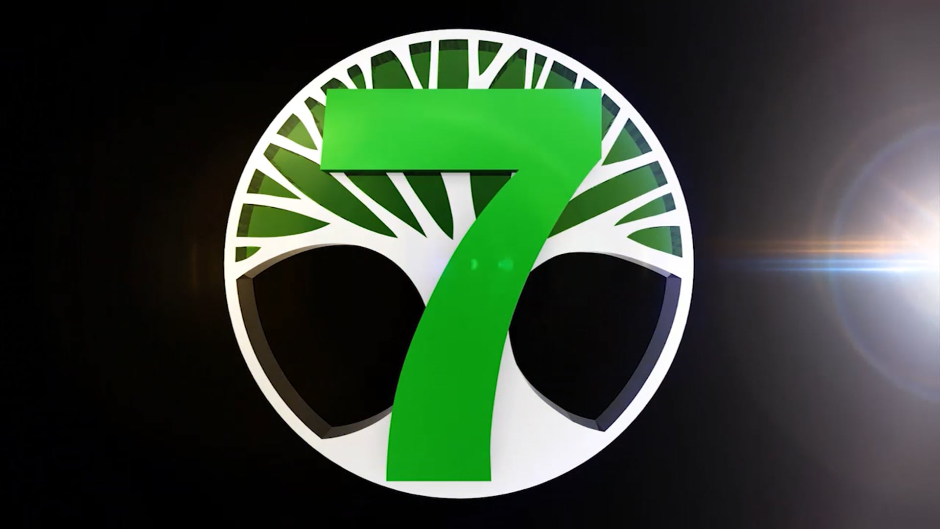 C7O-275 - 2018 Asian Heritage