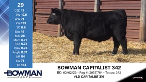 Lot #29 - BOWMAN CAPITALIST 342