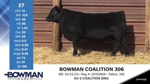 Lot #27 - BOWMAN COALITION 306