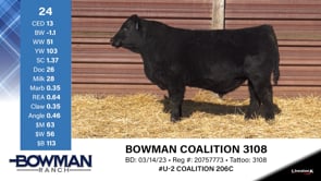 Lot #24 - BOWMAN COALITION 3108