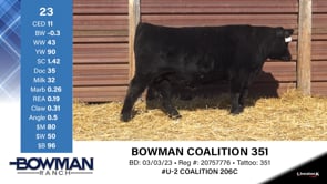 Lot #23 - BOWMAN COALITION 351