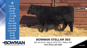 Lot #9 - BOWMAN STELLAR 303