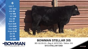 Lot #6 - BOWMAN STELLAR 315