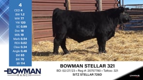 Lot #4 - BOWMAN STELLAR 321