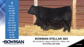 Lot #3 - BOWMAN STELLAR 383
