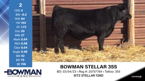 Lot #2 - BOWMAN STELLAR 355
