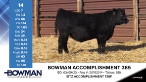 Lot #14 - BOWMAN ACCOMPLISHMENT 385