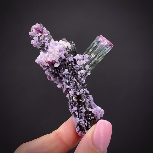 Tourmaline Cluster with Lepidolite (floater)