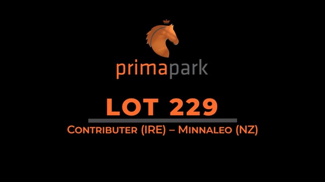 Karaka 2024 Book 1 New Zealand Bloodstock Thoroughbred Auction   1780676153 5b25b3210d0451c787c4de29c63251a5b5f701bd62345530038f0acb08bc777c D 640x360