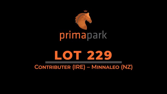 Lot 229