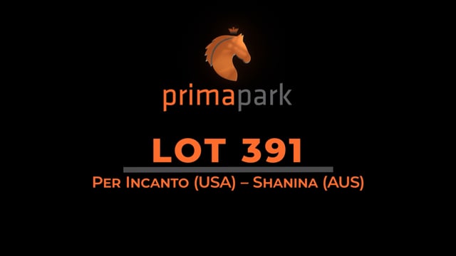 Lot 391