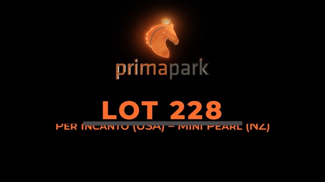 Lot 228