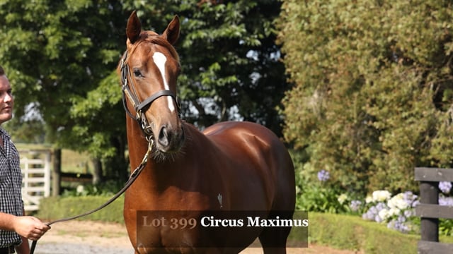 Karaka 2024 Book 1 New Zealand Bloodstock Thoroughbred Auction   1780689457 6e607dc77fd06aac46119c695a904157f26b19e1741db95c19250aacc691c056 D 640x360