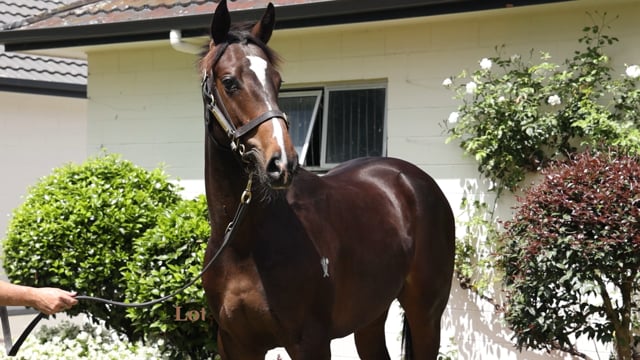 Lot 1042