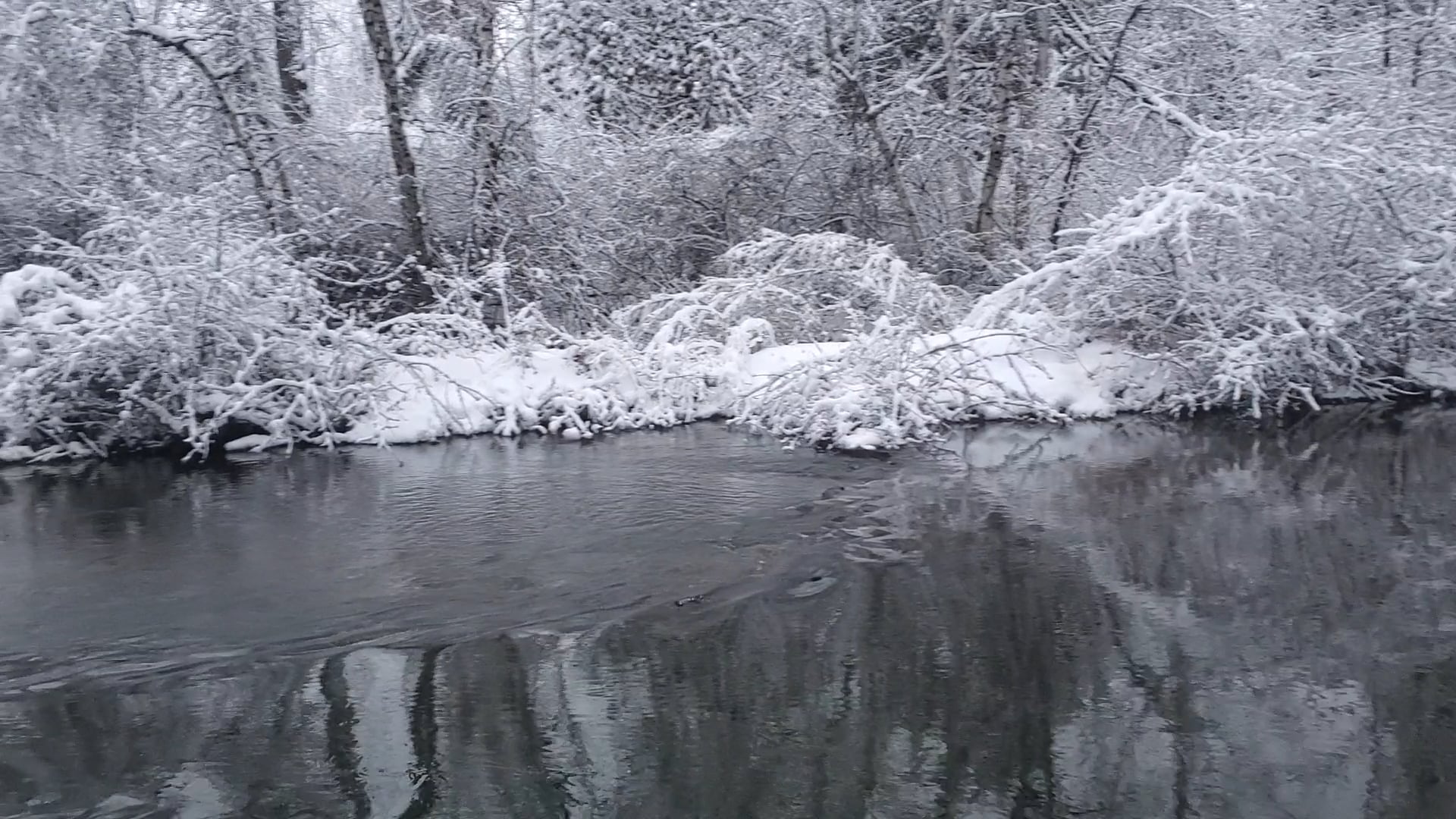 Cedar River Outfitters - Home