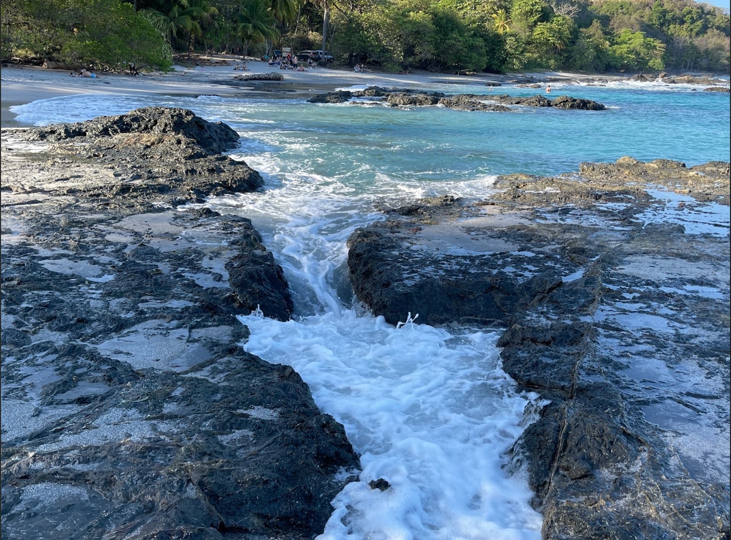 2023 June 28: Nature as Teacher of Patience