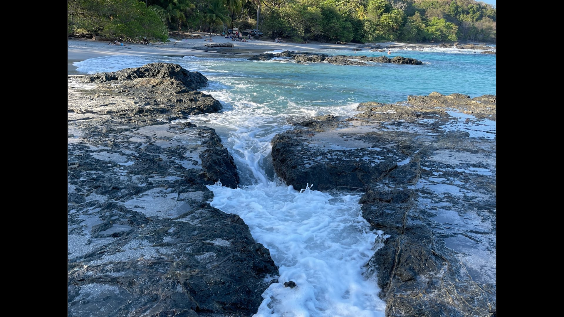 2023 June 28: Nature as Teacher of Patience